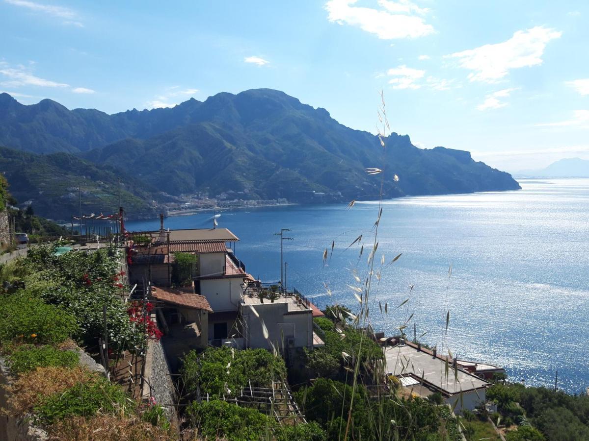 Apartmán Osolemiohouse Minori Exteriér fotografie